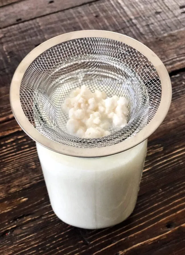 Milk Kefir
