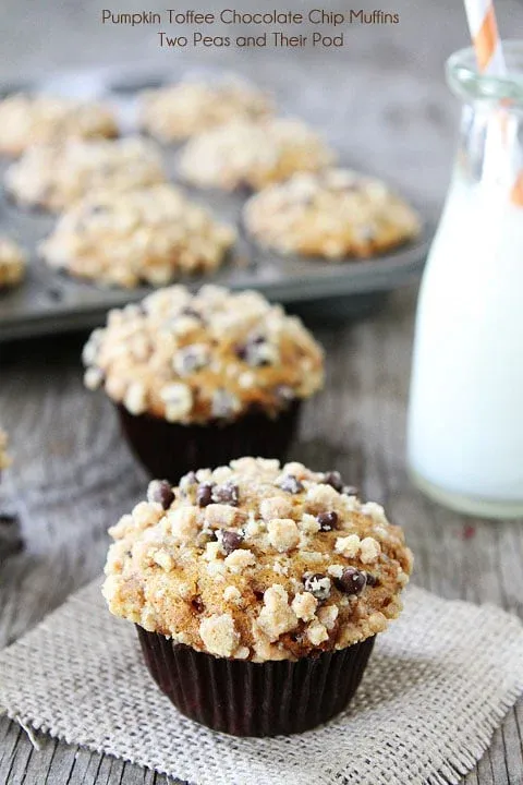 Pumpkin Toffee Chocolate Chip Muffins